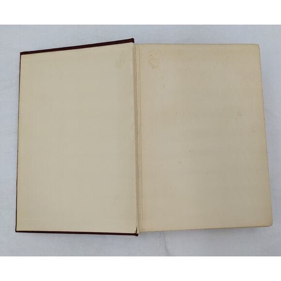 The White Mice By Richard Harding Davis Antiquarian Novel Early Printing 1909 - Picture 4 of 16